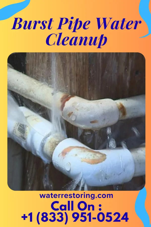Burst Pipe Water Cleanup in Eureka, NC
