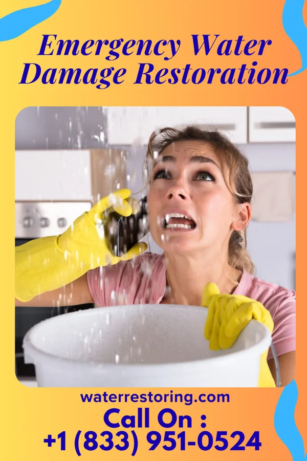 Emergency Water Damage Restoration in Eureka, NC