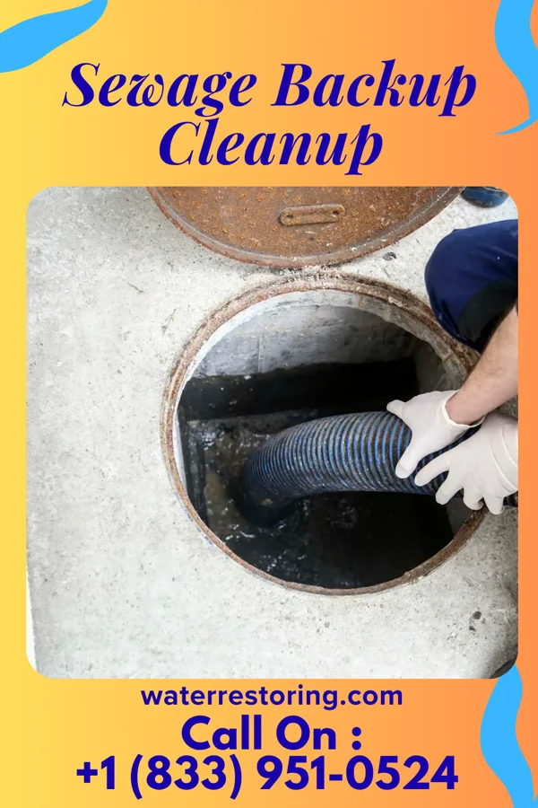 Sewage Backup Cleanup in Eureka, NC