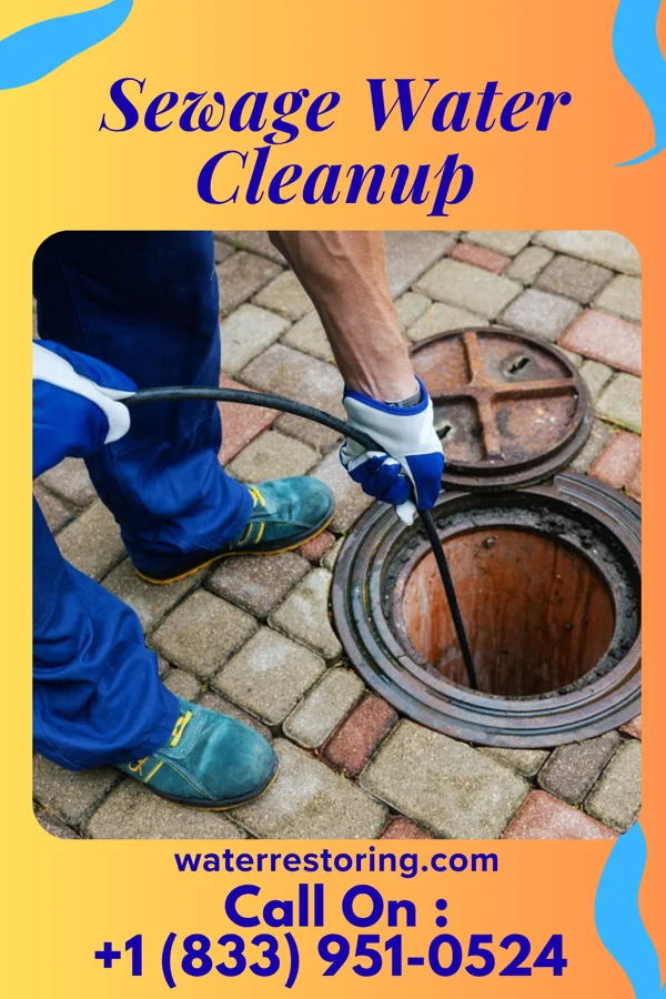 Sewage Water Cleanup in Eureka, NC